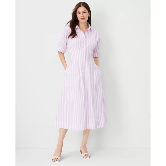 Ann Taylor Dress Size 4 Purple Striped Collared‎ Midi Shirtdress Peasant - Picture 10 of 10
